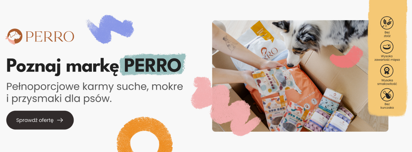 Perro pełnoporcjowe karmy i przysmaki dla psa