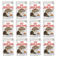 ROYAL CANIN Ageing +12 karma mokra dla kotów dojrzałych Jelly 12 x 85 g