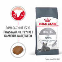 ROYAL CANIN Feline Care Nutrition Relaunch - Dental Care - Dry 8 kg