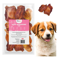 GACZOO 100% Naturalny przysmak dla psa Ucho Wieprzowe Duże XL 10 sztuk smakołyk