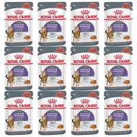 ROYAL CANIN Feline Care Nutrition - Appetite Control Care Gravy 12 x 85 g