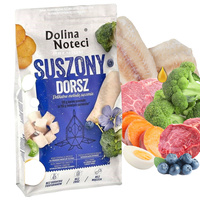 dorsz