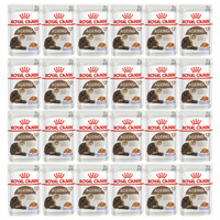 ROYAL CANIN Ageing +12 Jelly karma mokra w galaretce dla kota 24 x 85g