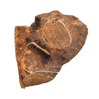 PETMEX Korzeń Wrzośca Naturalny Gryzak dla psa rozmiar L