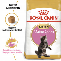 ROYAL CANIN Maine Coon Kitten karma sucha dla kociąt, do 15 miesiąca 2 kg